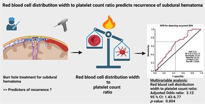 Red Blood Cell Distribution Width to Platelet Count Ratio Facilitates Preoperative Prediction of Recurrence in Surgically Treated Chronic Subdural Hematoma